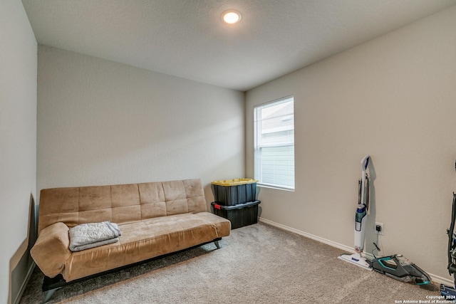 living area featuring carpet floors and baseboards