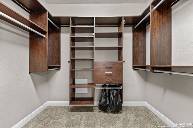 spacious closet with carpet