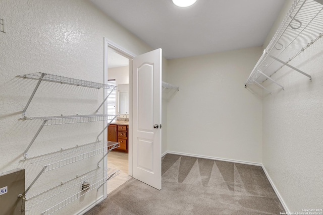 spacious closet featuring light carpet