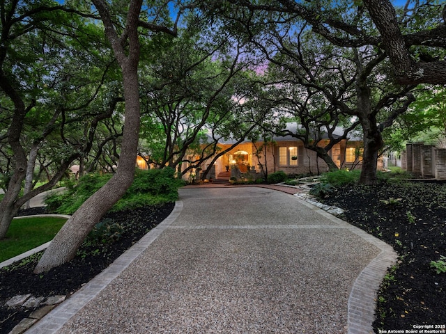 10 Parman Pl, San Antonio, TX 78230 - view of front of property