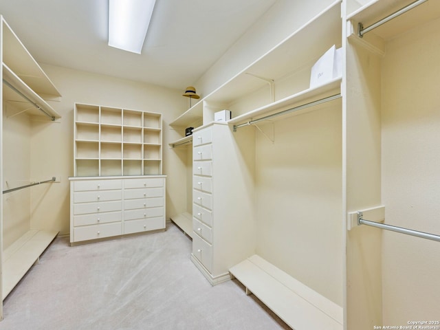 10 Parman Pl, San Antonio, TX 78230 - spacious closet featuring carpet