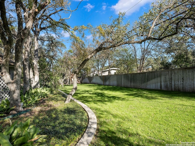 10 Parman Pl, San Antonio, TX 78230 - view of yard