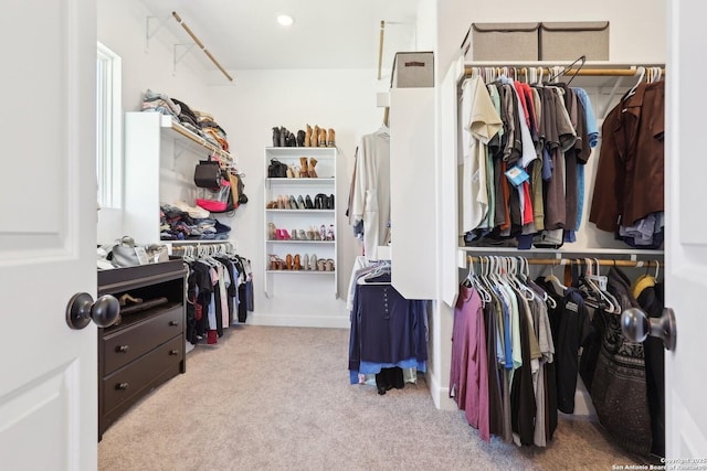 walk in closet with carpet flooring