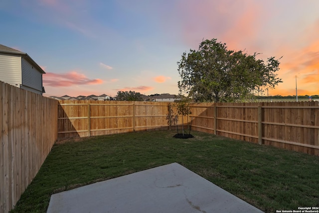 view of yard featuring a patio area and a fenced backyard