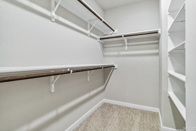 spacious closet featuring carpet flooring