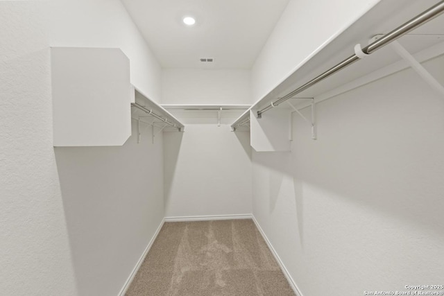 449 Horizon Pl, Seguin, TX 78155 - walk in closet with carpet floors