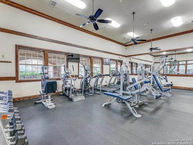 exercise room featuring a textured ceiling, a healthy amount of sunlight, visible vents, and crown molding