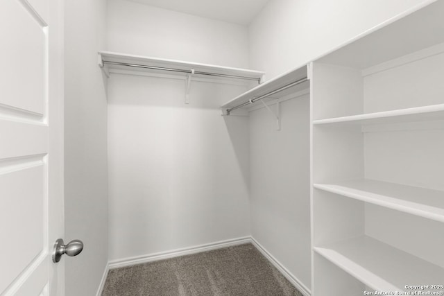 9538 Reinhartz Way, San Antonio, TX 78221 - walk in closet featuring carpet flooring