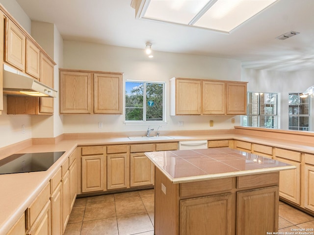 kitchen featuring under cabinet range hood, light brown cabinets, and a sink