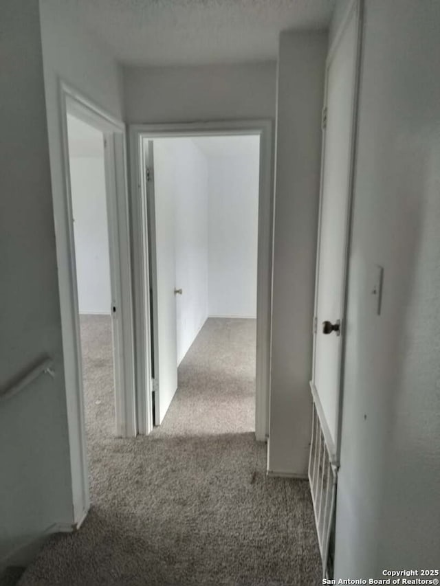 hallway featuring a textured ceiling and carpet floors