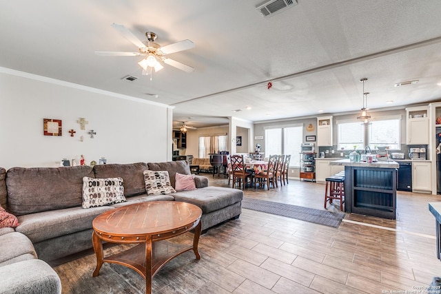 living area featuring visible vents, plenty of natural light, and light wood finished floors