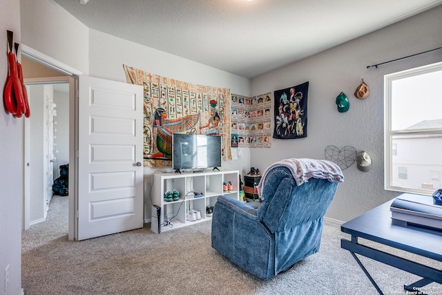 interior space with carpet flooring, a textured wall, and a textured ceiling