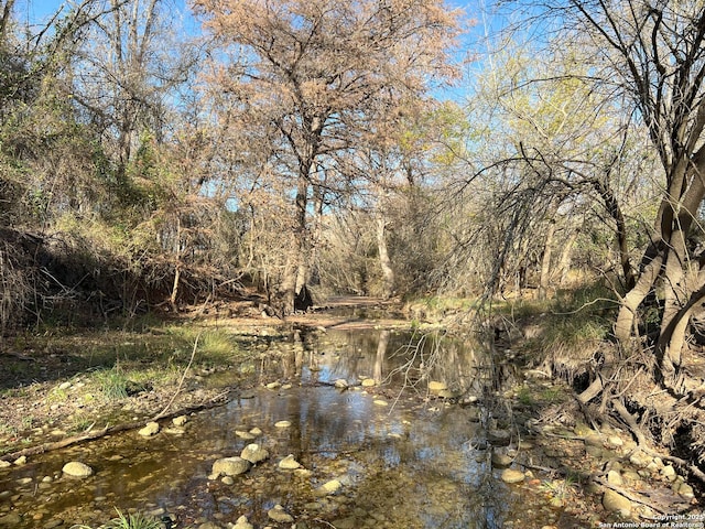 view of nature with a forest view