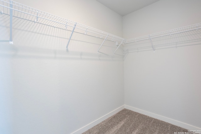 walk in closet featuring carpet