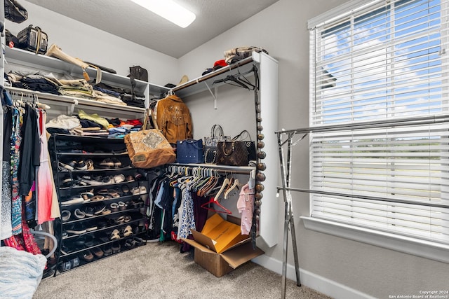 spacious closet featuring carpet flooring