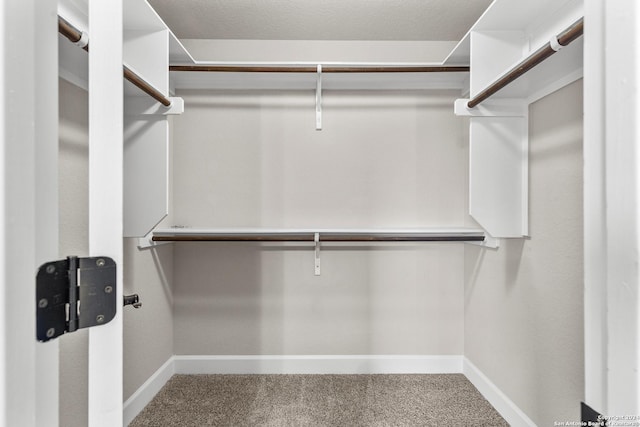 spacious closet featuring carpet