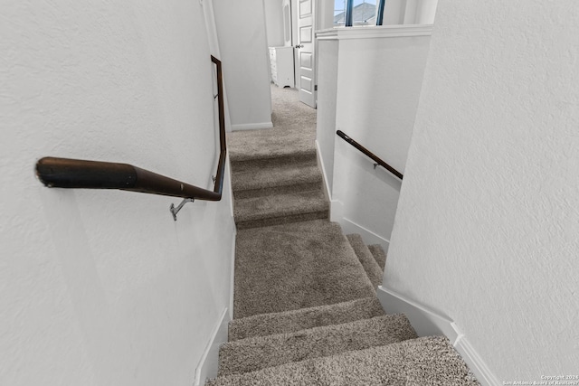 stairway with a textured wall and carpet floors