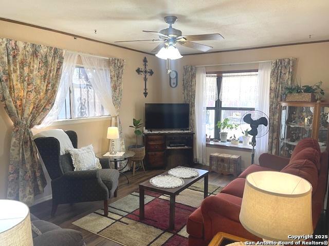 living area with ceiling fan and wood finished floors