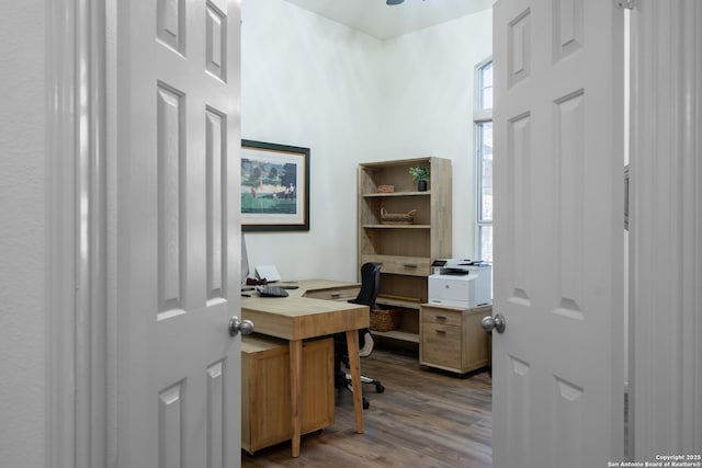 office area featuring wood finished floors