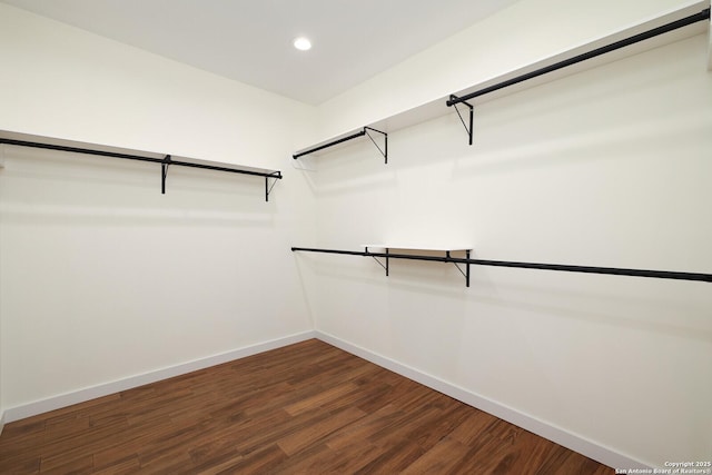 spacious closet featuring dark wood finished floors