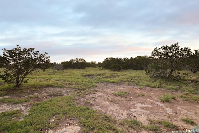 view of nature