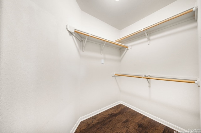 spacious closet featuring dark wood-style flooring