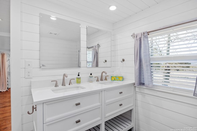 full bath with double vanity, plenty of natural light, and a sink