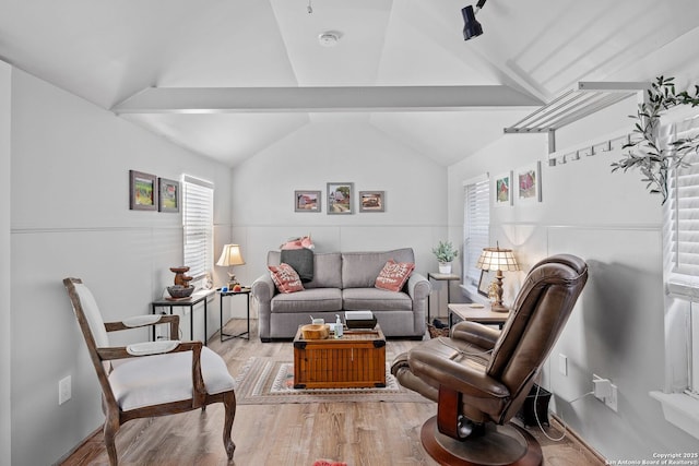 living room with lofted ceiling, plenty of natural light, and light wood-style flooring