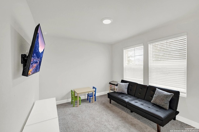 living area with carpet floors and baseboards