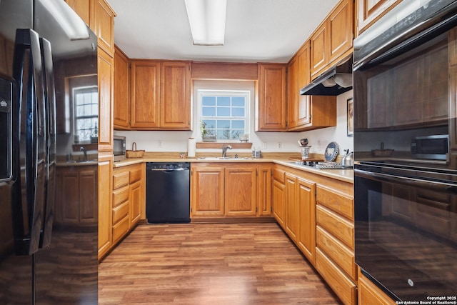 kitchen with under cabinet range hood, a sink, light wood-style floors, light countertops, and black appliances