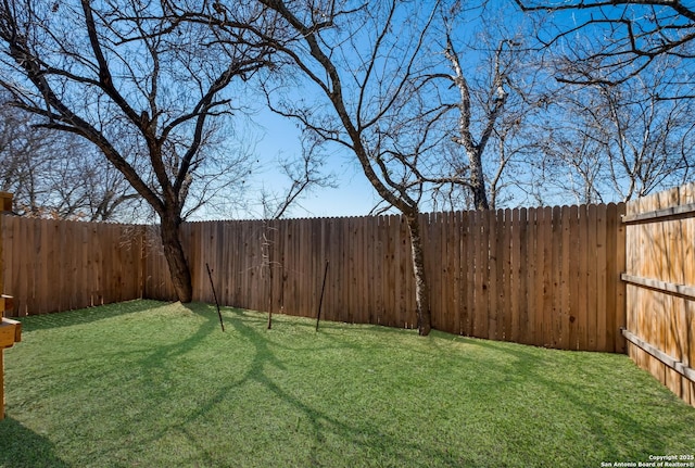 view of yard featuring a fenced backyard