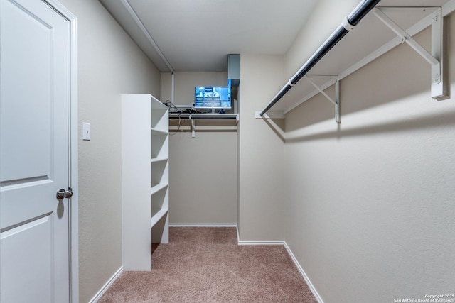 spacious closet with carpet flooring