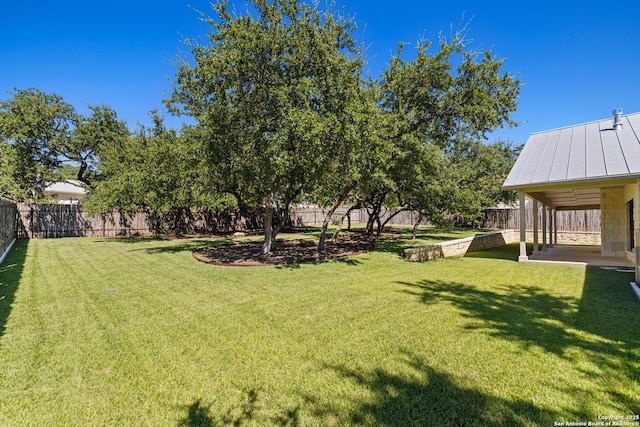 view of yard featuring a patio area and a fenced backyard