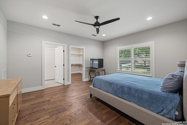 bedroom featuring dark wood-style floors, visible vents, a walk in closet, and recessed lighting