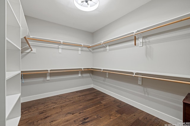 spacious closet featuring dark wood-style floors