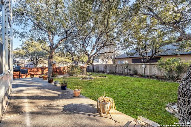 view of yard with a patio area and a fenced backyard