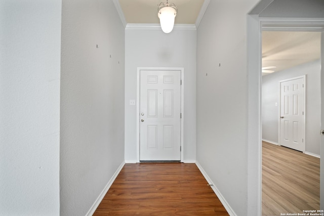 hall featuring baseboards, wood finished floors, and crown molding