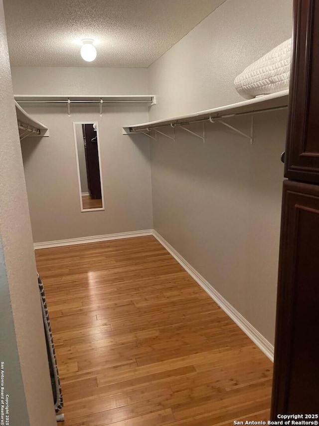 spacious closet featuring light wood-style floors