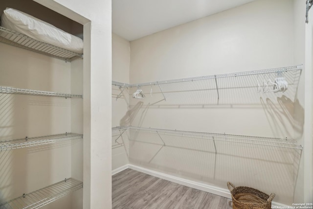 spacious closet featuring wood finished floors