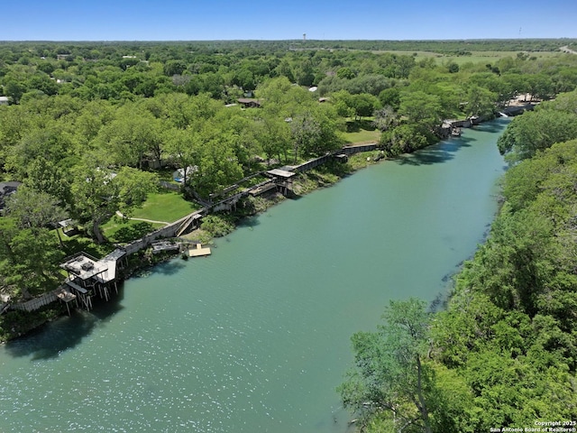 birds eye view of property with a water view and a forest view