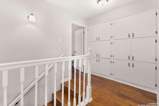 hall with a wainscoted wall and dark wood-style flooring