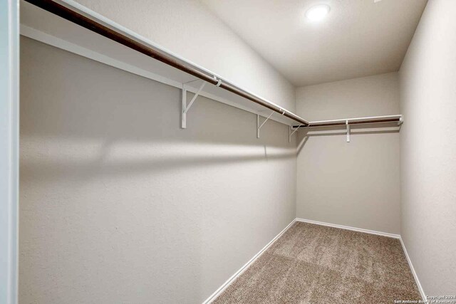 walk in closet with carpet floors