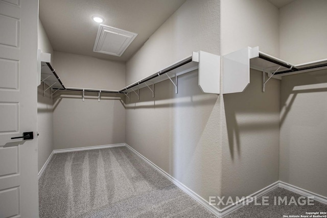 walk in closet featuring carpet floors