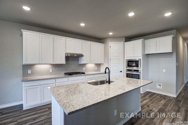 kitchen featuring under cabinet range hood, white cabinetry, stainless steel appliances, and a sink