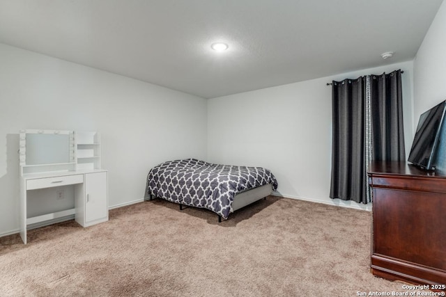 bedroom with carpet flooring