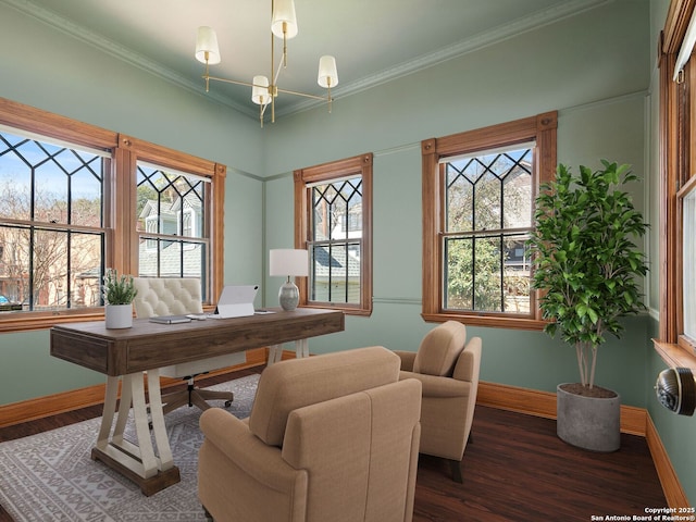 office space featuring wood finished floors, baseboards, and ornamental molding