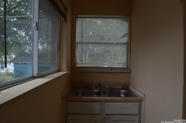 bathroom with plenty of natural light and a sink