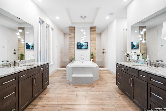 bathroom with a tray ceiling, wood finished floors, a sink, and visible vents