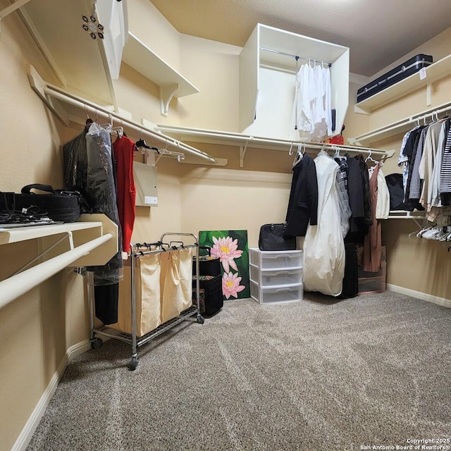 spacious closet with carpet flooring