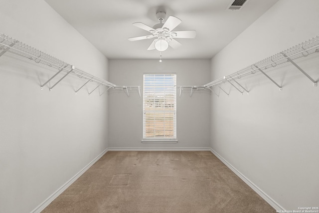 spacious closet with ceiling fan, carpet floors, and visible vents